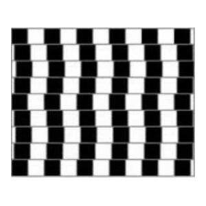 ILLUSIONI OTTICHE 3 ESEMPIO